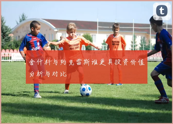 舍什科与约克雷斯谁更具投资价值分析与对比